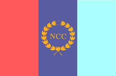 RIPE NCC Logo-nextbuild.com.vn